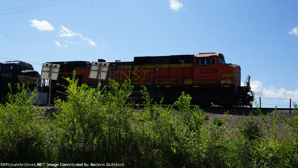 BNSF 5239